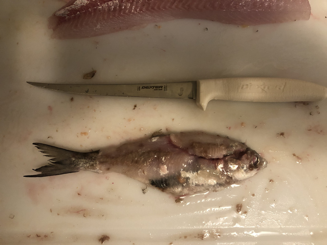 CBB8AF66-76E5-4EA8-B02B-112B80339A70