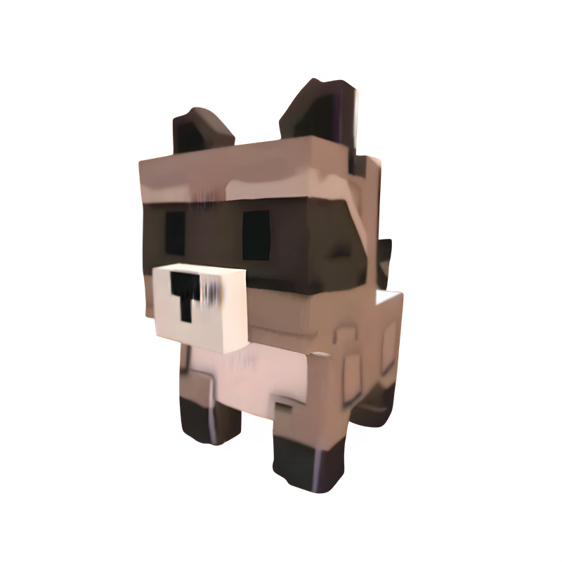 Raccoon