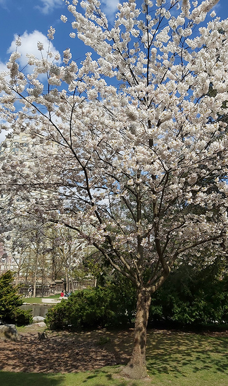 [Image: 20210423-161901.jpg]