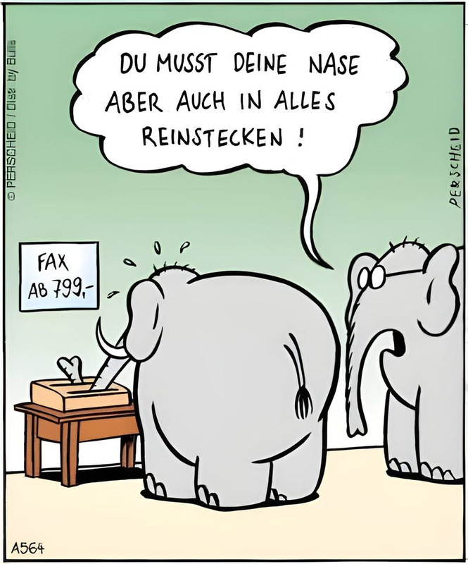 274775837_10220632366704287_7296312069590850529_n