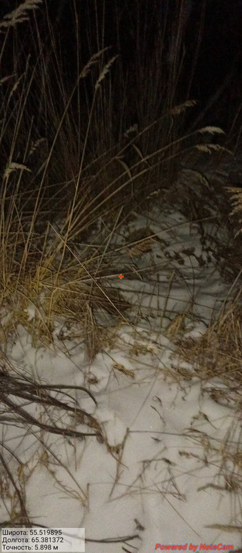 photo 25 2025 12 14 19 52 18