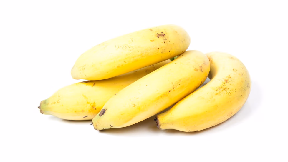 6a39064de4b545cd925a8847c394ad18 jpg