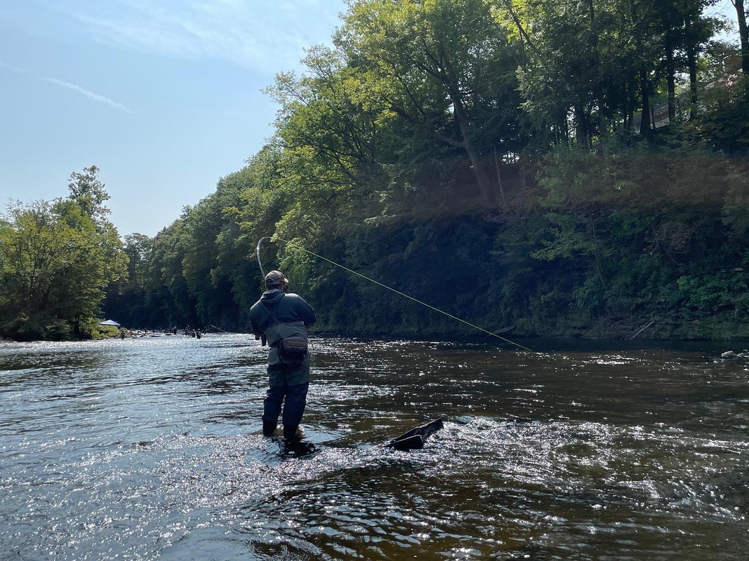 D3209DD3-25B7-4137-8D0E-3C0ABA732E8F