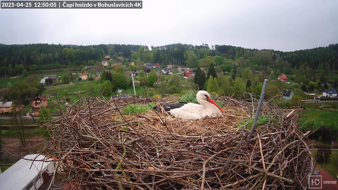 Živě z čapího komína firmy KARA v Bohuslavicích u Trutnova 15-35-3 screenshot