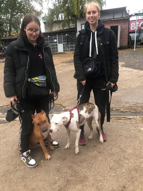 C380A6F8-1202-40D8-993C-90C10C6C020D