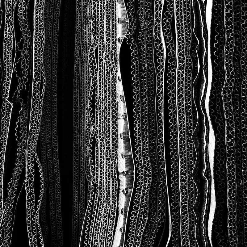 04-1st-ABSTRACT-Glenn-Homann-1