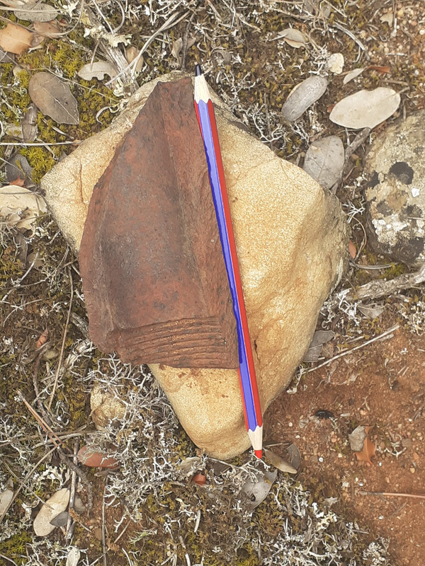 20230611_105932_optimized