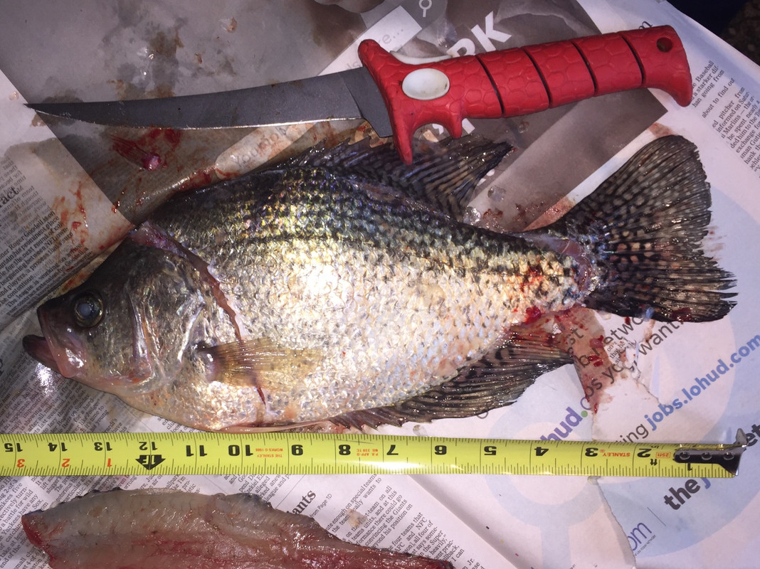 1B0102F4-B450-4CF8-BCE9-037C445058B0