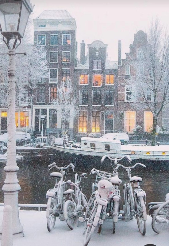 Screenshot_20230327_231646_Pinterest