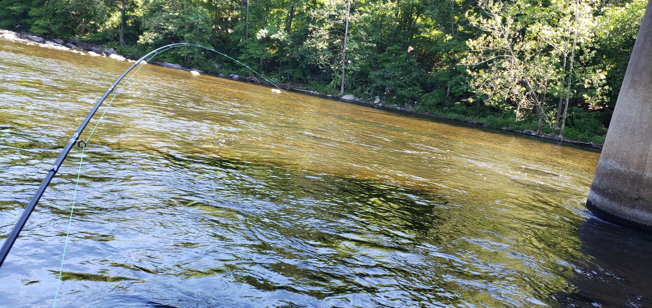 20190615_103053