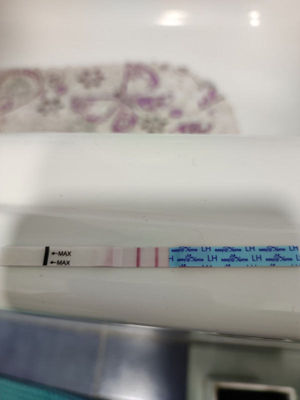 16528140363513476885707436820139