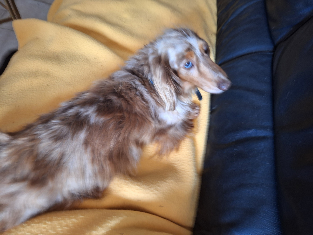 [Image: 20240428-171025.jpg]