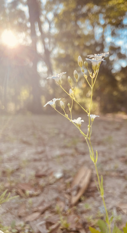 -- Avi's Photography