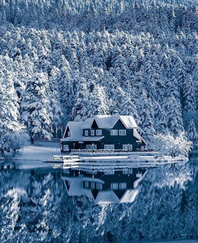 Cool-25