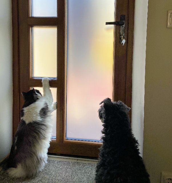 01-F59325-3198-4-A4-C-AC1-F-AB966-BCE297