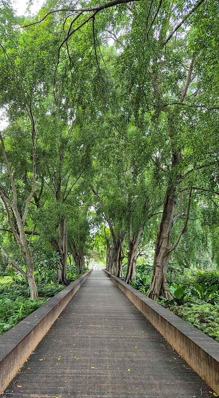 Walking in the Gardens