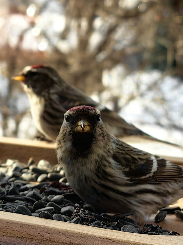 изображение_viber_2024-04-07_09-12-02-768