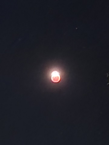 Green Still Partial Eclipse