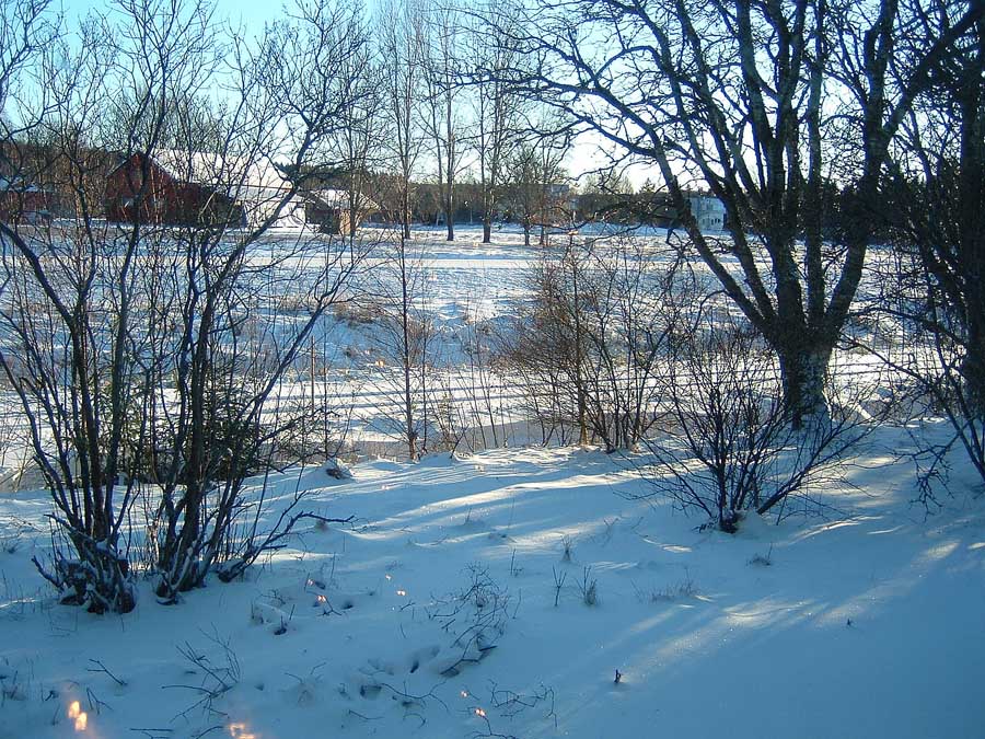 DSCF00022.jpg