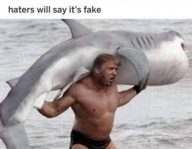 Trump-shark.jpg