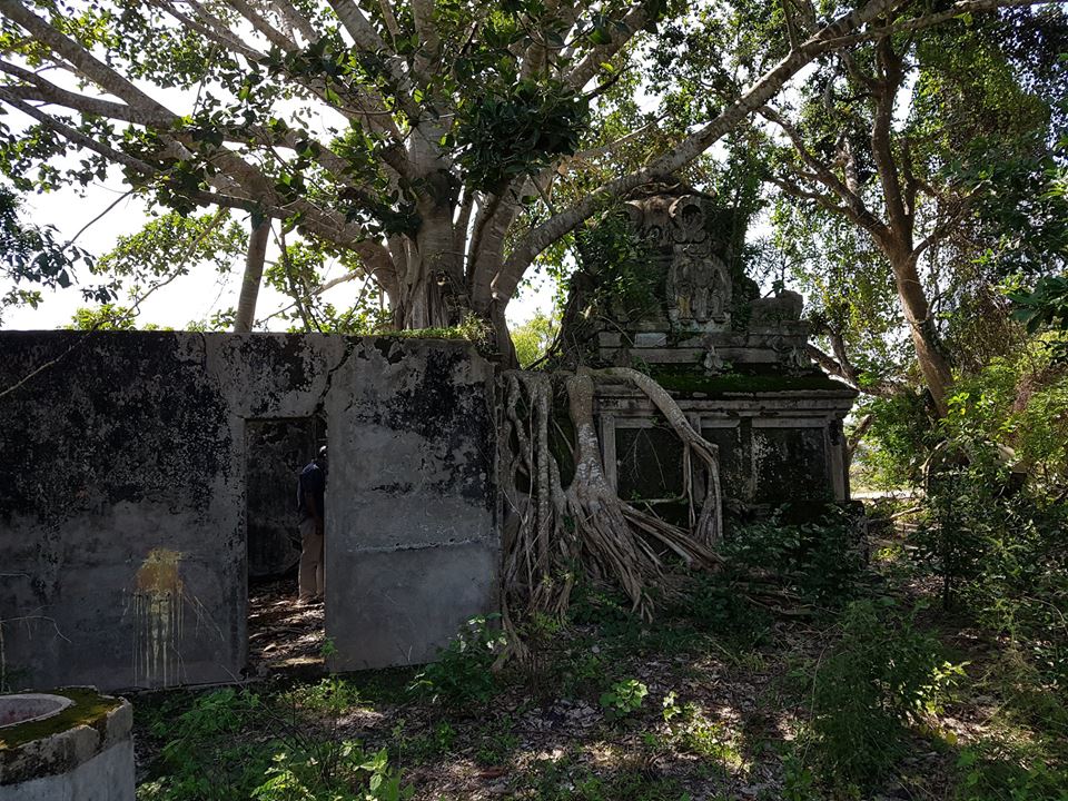 49422652-2002438723207405-86023689990632