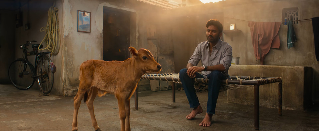 Idli Kadai 2025 WebRip [Hindi + Tamil + Telugu + Malayalam + Kannada] 480p 720p 1080p ESub Screenshot