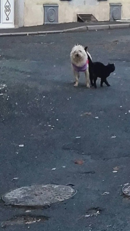 355A31FC-3FC1-41DE-B3FE-5A2D4F67EC45