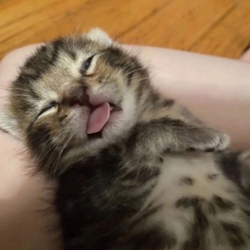 34851 06s Oo IHt8g Q