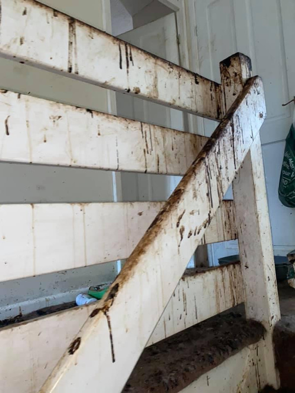 529ABCD4-D04F-4071-B039-995A18B379A4