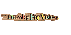 100-merci-pour-les-visiteurs