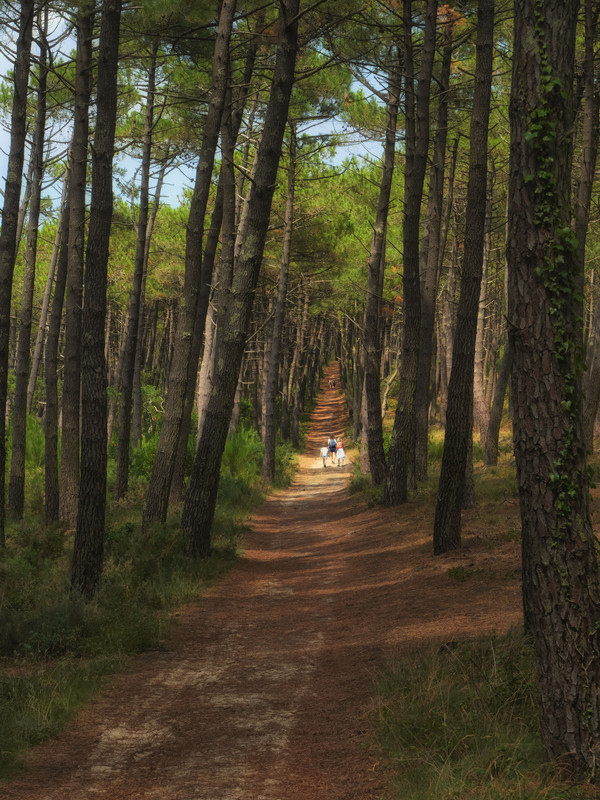 21873511-3E1D-41E8-9F02-0F5951057419