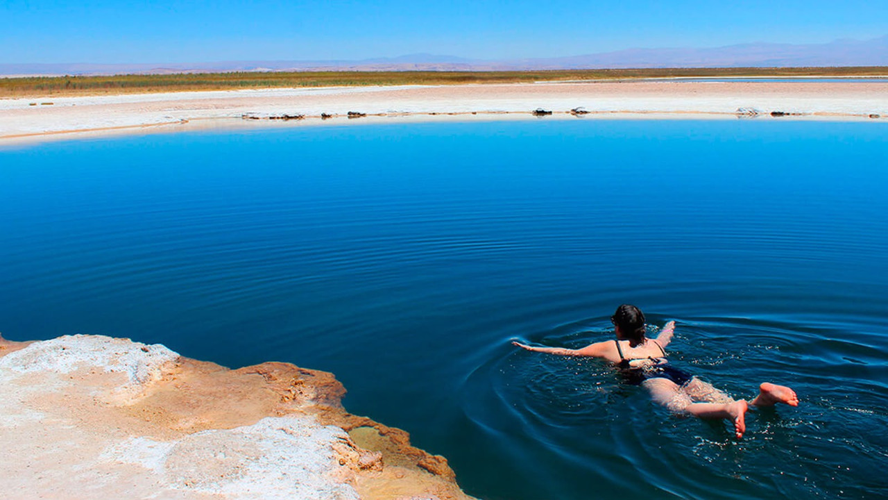 Laguna Cejar y Ojos del Salar