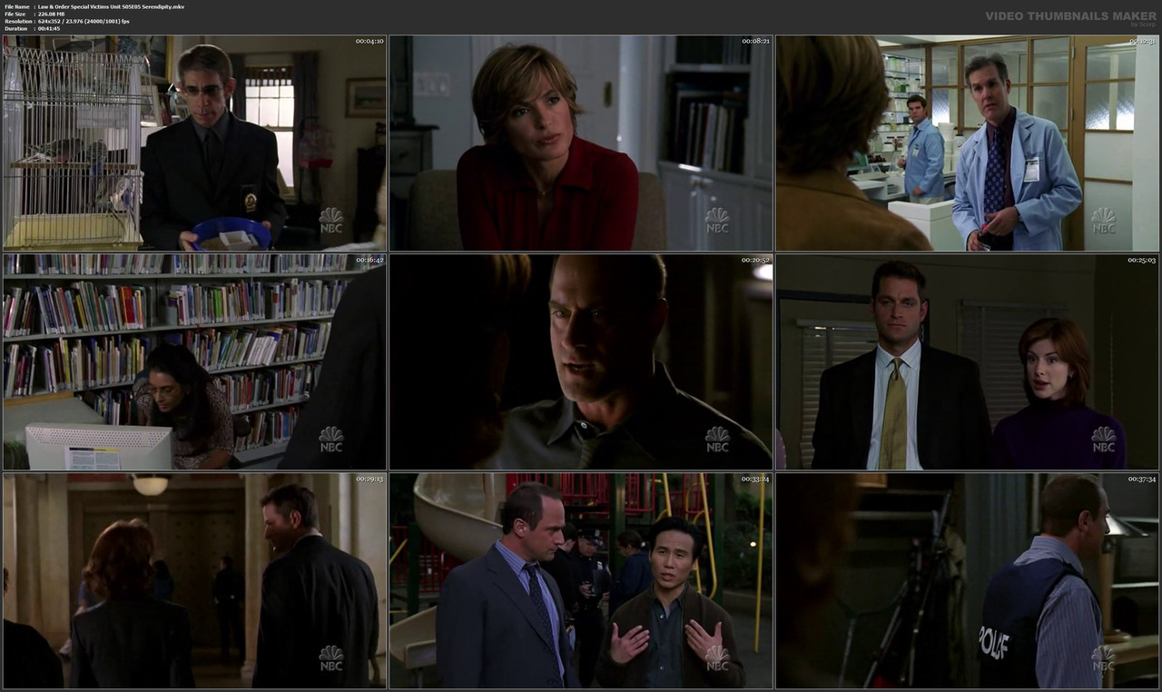 Law & Order Special Victims Unit S05E05 Serendipity.mkv