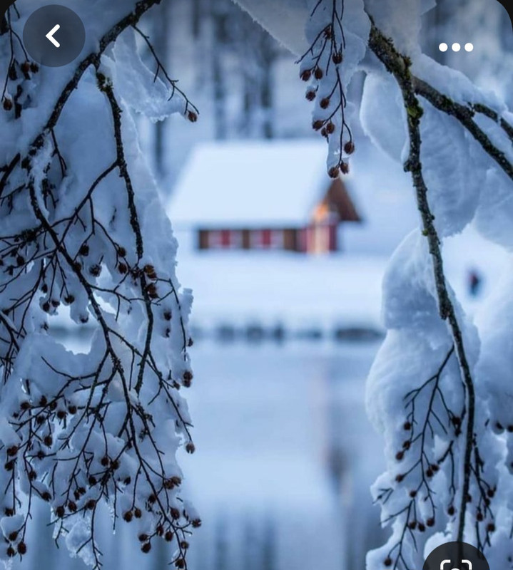 Screenshot_20231016_210106_Pinterest