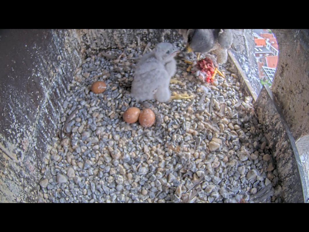 0F746CCD-344B-41F4-A5F8-FBD06AA1BB91