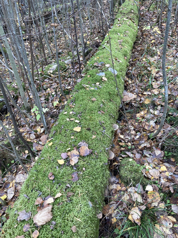 7A07BCC7-7A86-4B26-8B11-4A10B7654D06