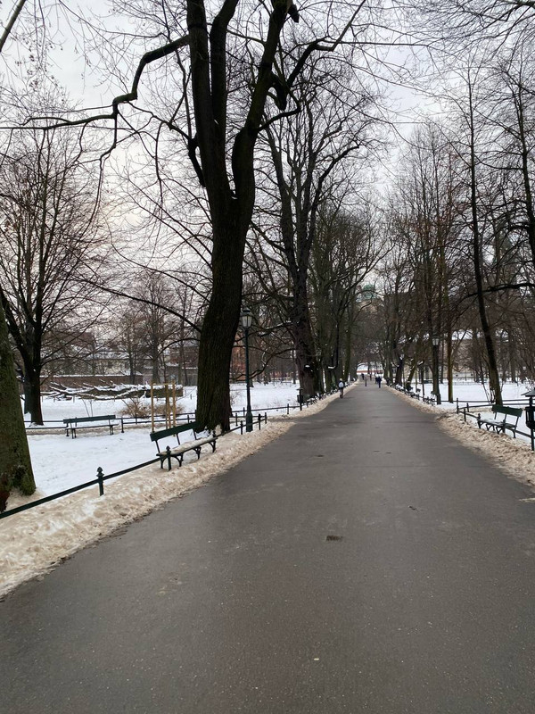 photo 2026 01 15 18 21 30