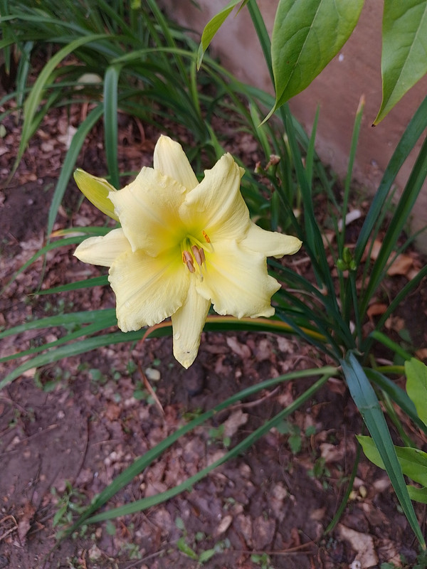 IMG_20230619_065409_HDR