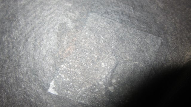 [Bild: IMG-2774.jpg]