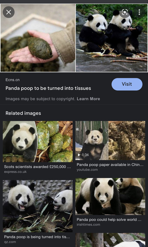 0A6AA1DB-CE30-4AA9-8AE4-188BA9D3CDE6