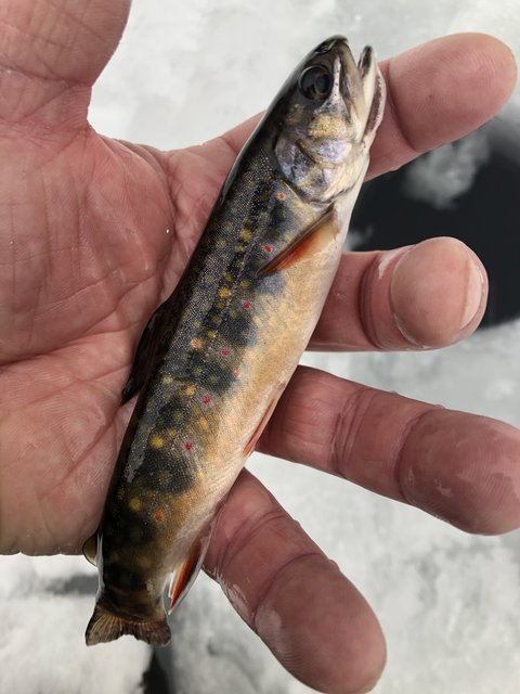 CF3C6253-69D4-4B37-BA1E-73678B339F1D