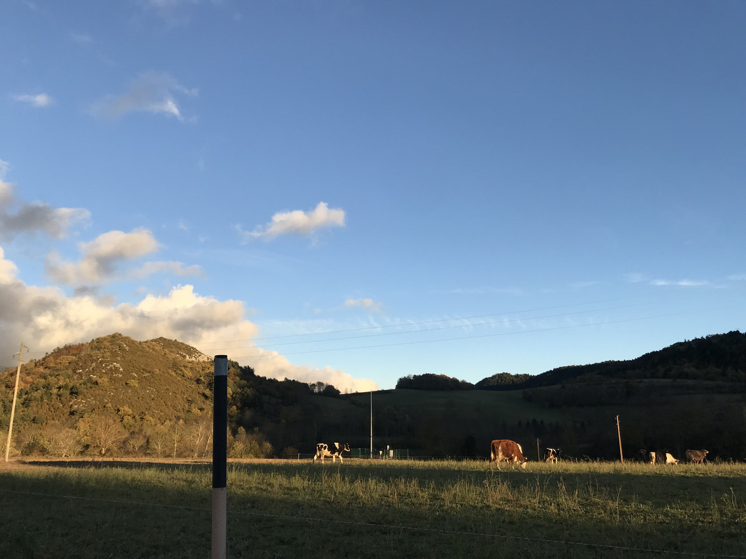 D4457B3F-F334-41DD-82B2-753A1545D28F