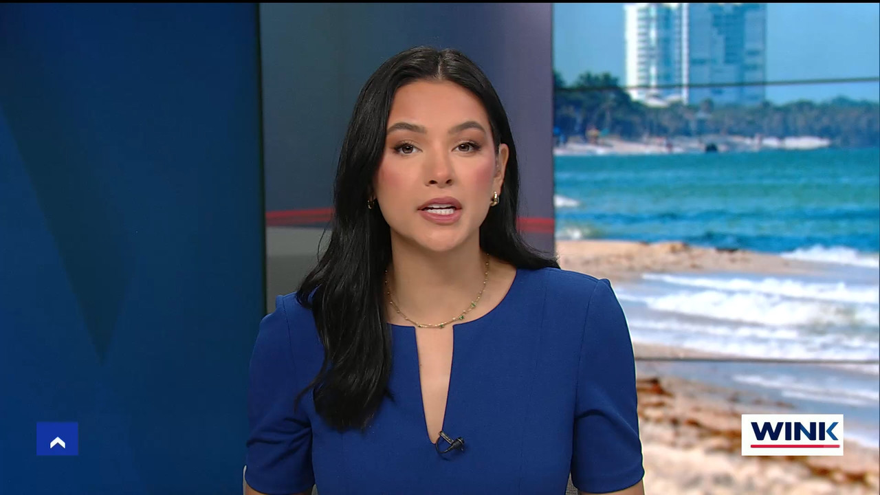 The WINK Noon News_20231201_17001730.ts_snapshot_01.12.649