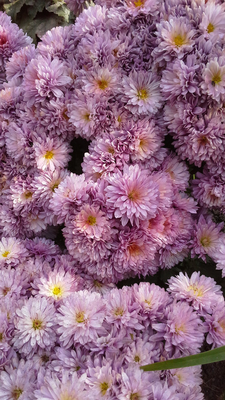 20120410_170901