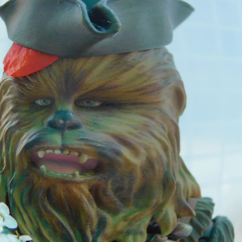 Дачно-Харлинский июнь-июль 2024 459