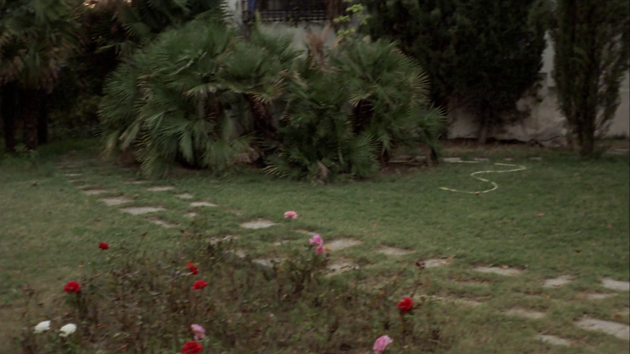 vlcsnap-2023-11-08-15h25m05s115