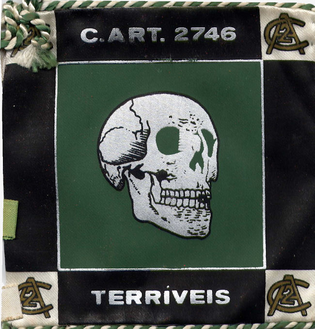 CArt2746-650