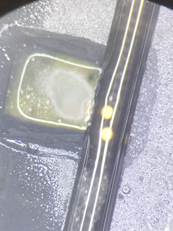 photo_2025-08-12_13-45-13