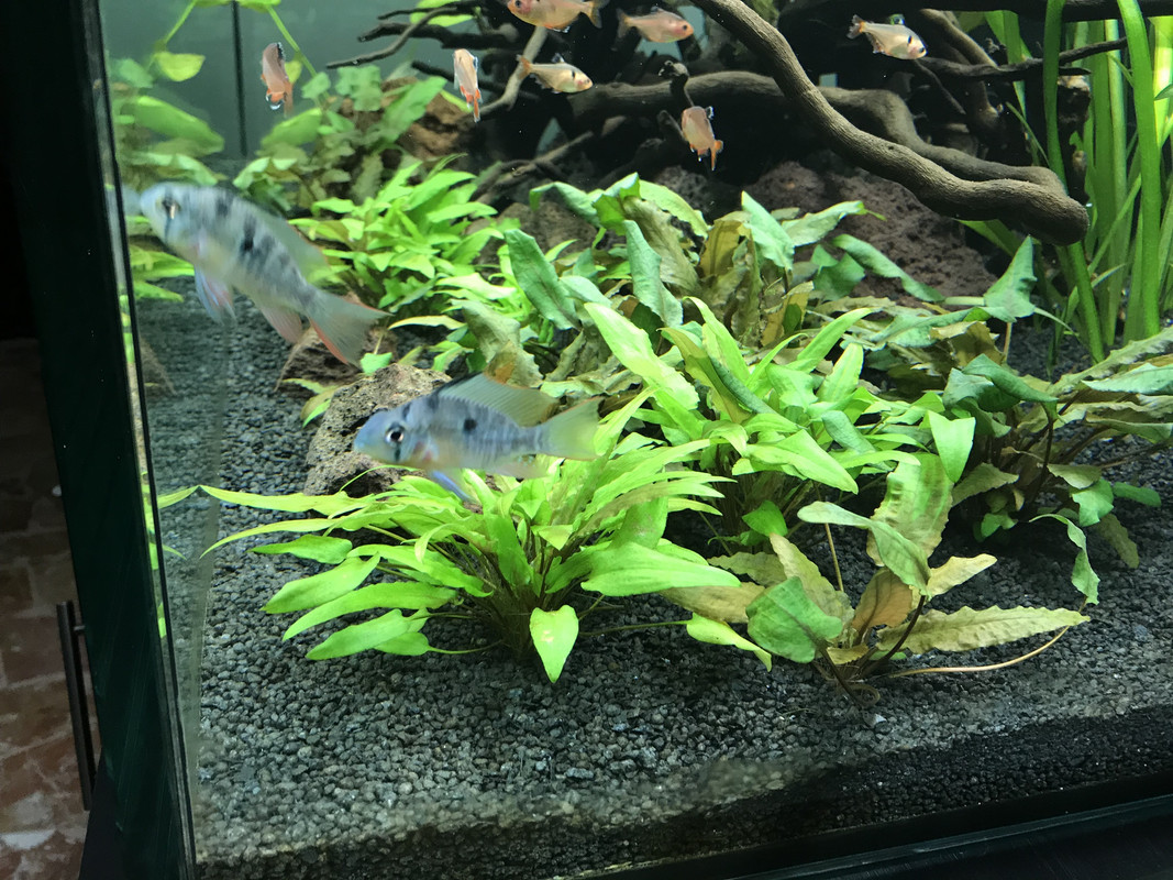 B4E5174D-5E51-413D-B594-0F134B4B9E11