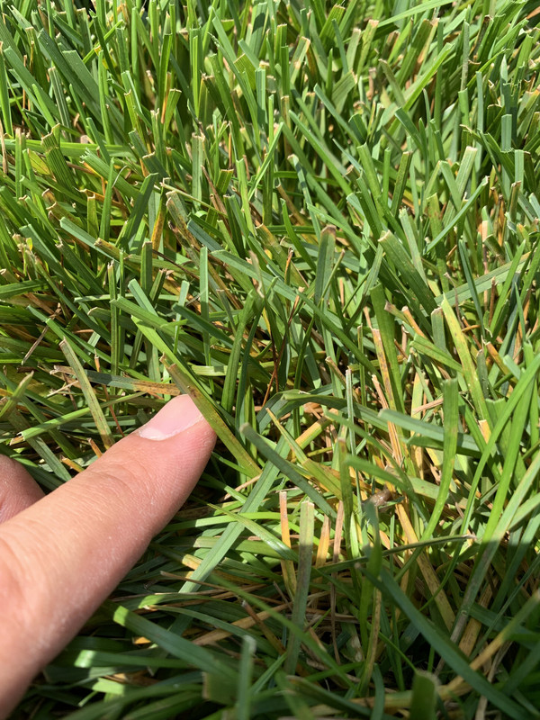 96C3CF6E-300E-4F5C-9187-EA5C1876B09D